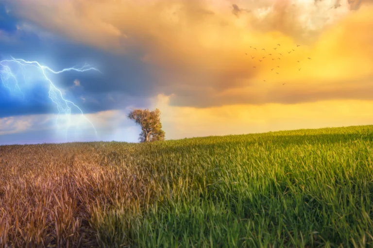 AdobeStock 301872170